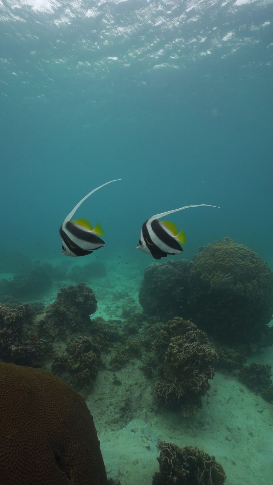 Mango Bay, Koh Tao