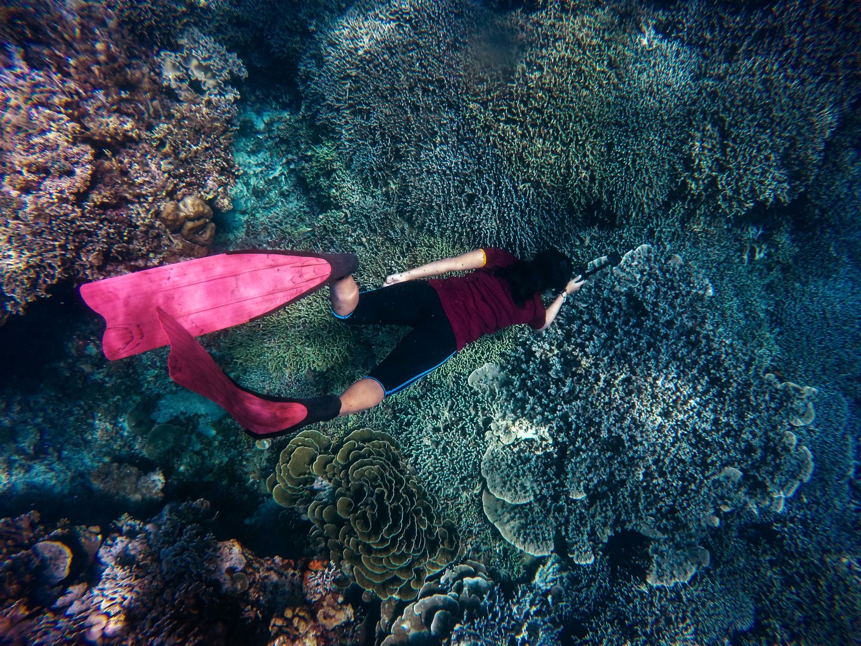 Freediver in the blue off Koh Tao